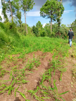  Agricultural Land for Sale in Sarahan, Sirmour