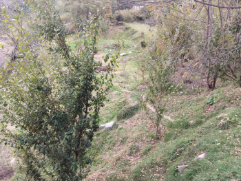  Agricultural Land for Rent in Hadimba Temple Road, Manali
