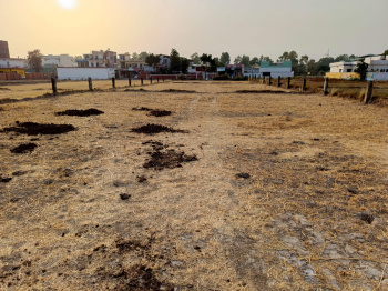  Agricultural Land for Rent in Badowala, Dehradun