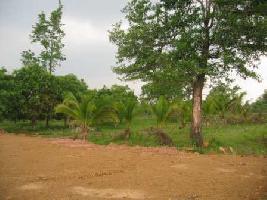  Agricultural Land for Sale in Jay Gayatri Nagar, VIP Road, Vadodara