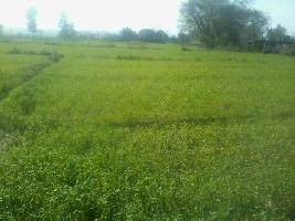  Commercial Land for Sale in Manjalpur, Vadodara
