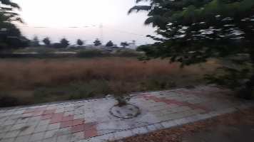  Residential Plot for Sale in Adarsh Colony, Shajapur
