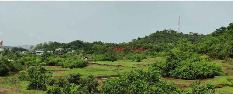  6 Bigha Agricultural/Farm Land for Sale in Nasirabad, Ajmer