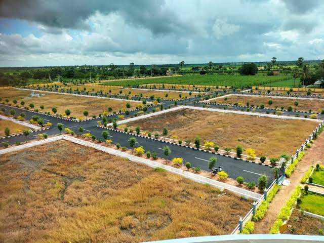 Residential Plot 167 Sq. Yards for Sale in Ragolu, Srikakulam