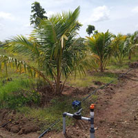  Agricultural Land for Sale in Tirupattur, Tiruchirappalli