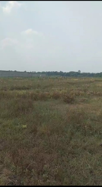  300 Bigha Residential Plot for Sale in Polba, Hooghly