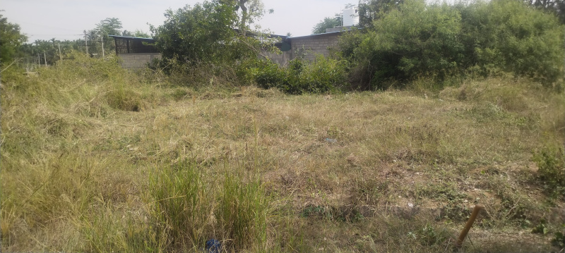  Residential Plot 1083 Sq.ft. for Sale in Madhugiri, Tumkur