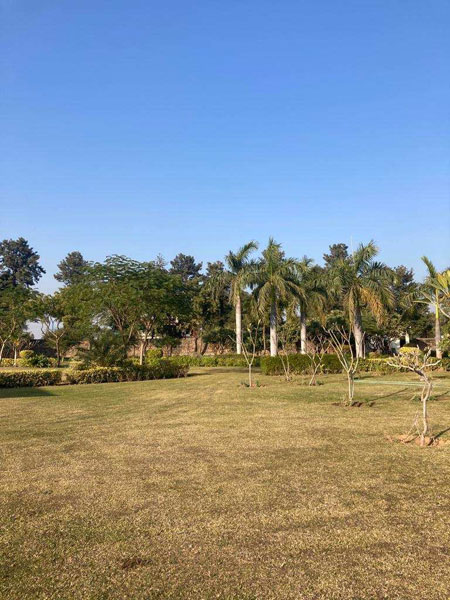  Agricultural Land 1 Acre for Sale in Sohna, Gurgaon