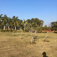  Agricultural Land for Sale in Sohna, Gurgaon