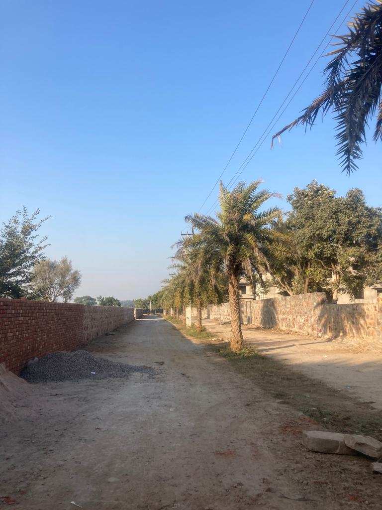  Agricultural Land 1 Acre for Sale in Sohna, Gurgaon