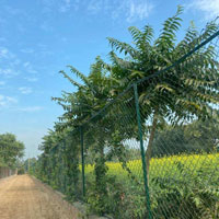  Agricultural Land for Sale in Ferozepur Jhirka, Nuh
