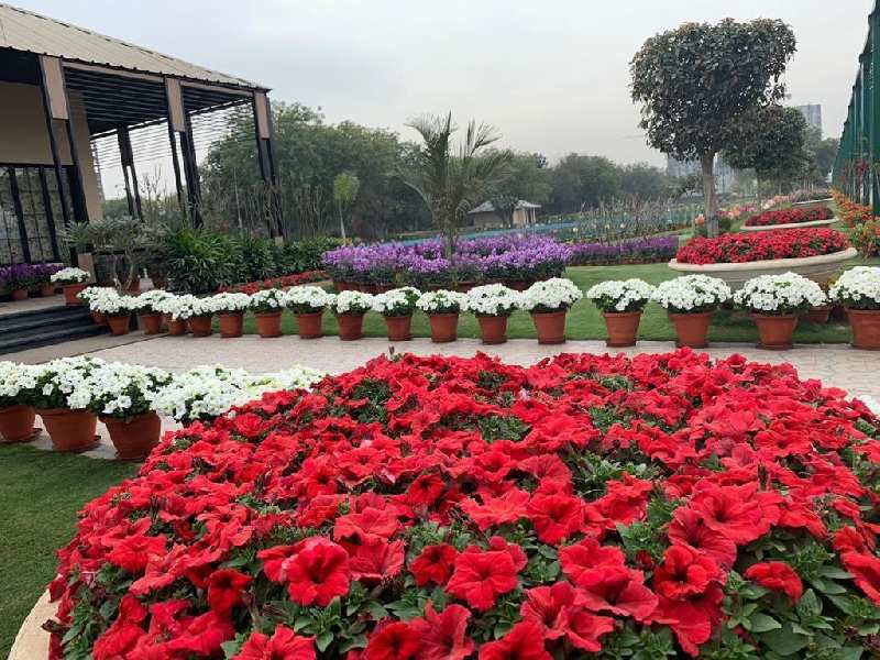 2 BHK Farm House 6840 Sq. Yards for Sale in Sohna Palwal Road, Gurgaon