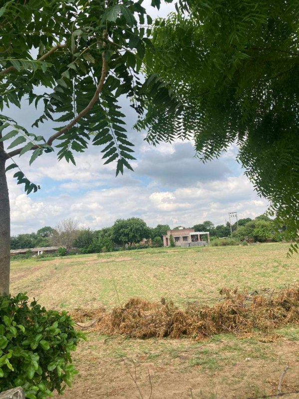 5 BHK Farm House 2 Acre for Sale in