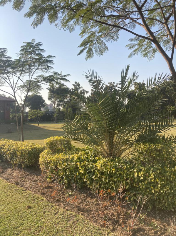 5 BHK Farm House 5 Acre for Sale in