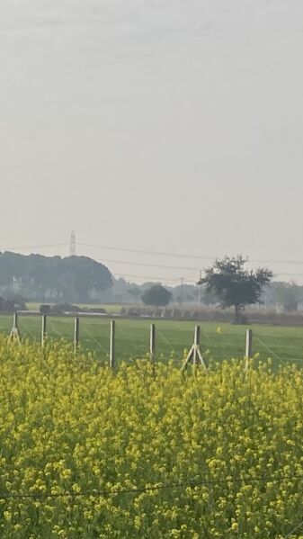  Agricultural Land 2 Acre for Sale in Sohna, Gurgaon