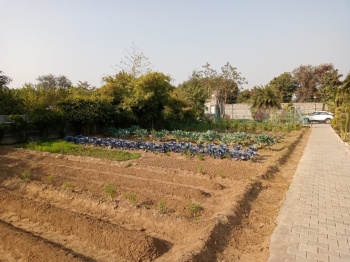  Agricultural Land for Sale in Delhi Bypass Road, Alwar