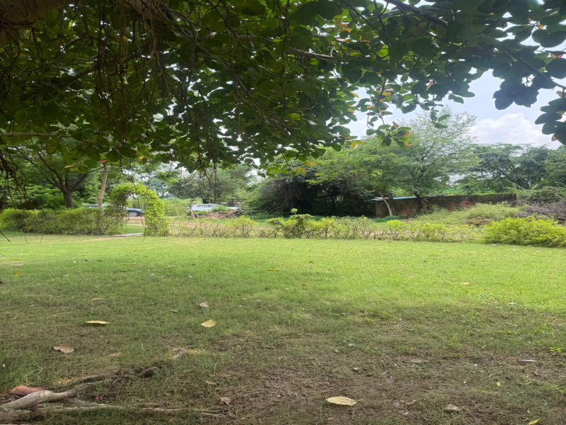  Agricultural Land 2 Acre for Sale in Sohna, Gurgaon