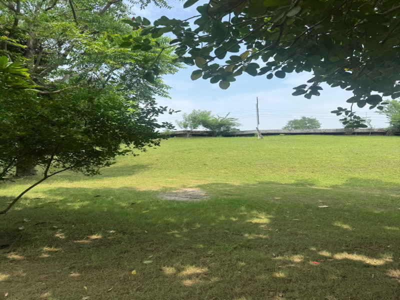  Agricultural Land 2 Acre for Sale in Sohna, Gurgaon