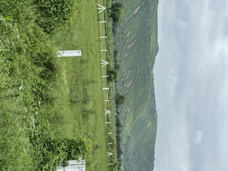  Agricultural Land 13 Bigha for Sale in Ramgarh, Alwar