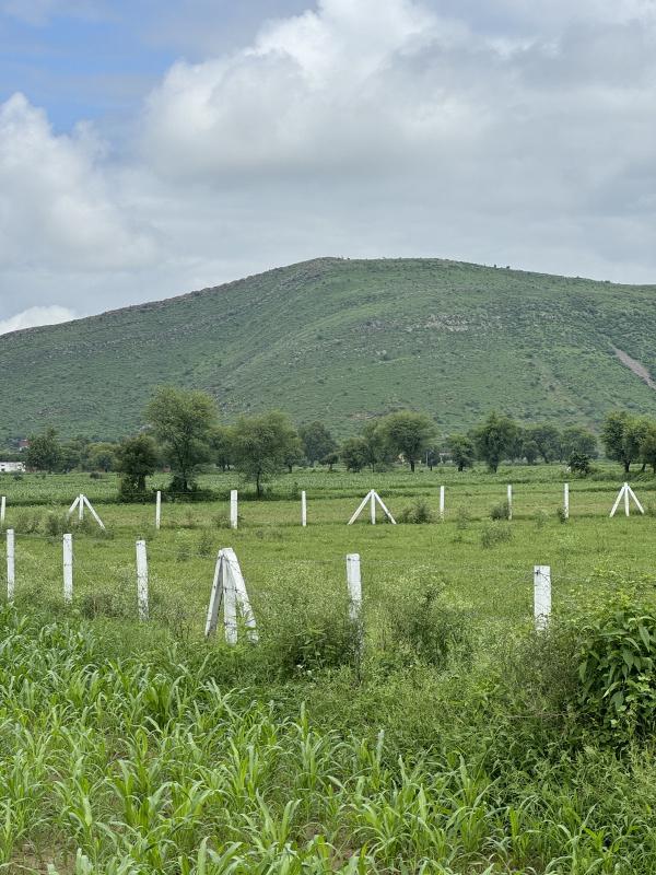  Agricultural Land 13 Bigha for Sale in Ramgarh, Alwar