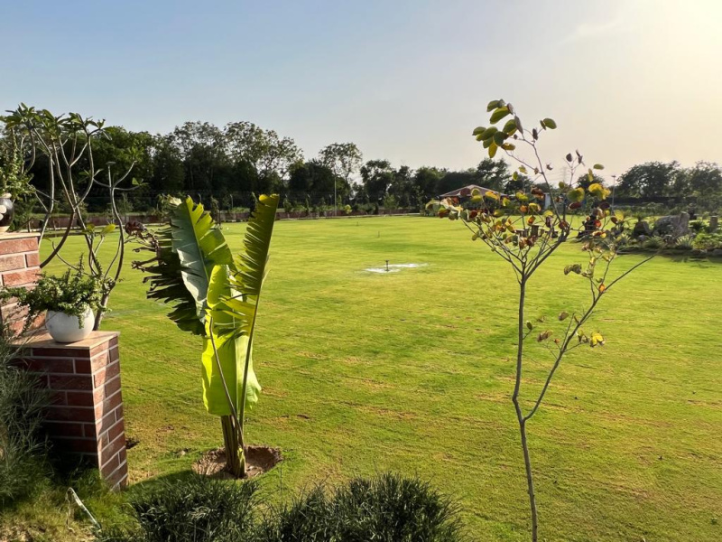  Agricultural Land 1 Acre for Sale in Sohna Road, Sohna Road, Gurgaon