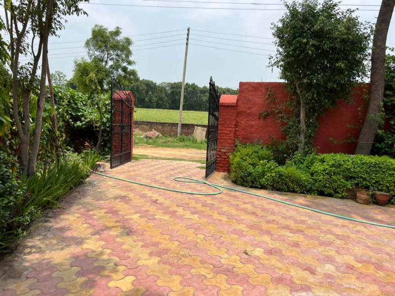  Agricultural Land 1 Acre for Sale in Sohna, Gurgaon