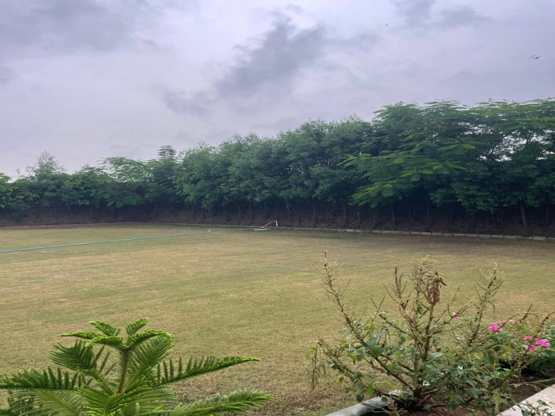  Agricultural Land 5 Bigha for Sale in Naugaon, Alwar