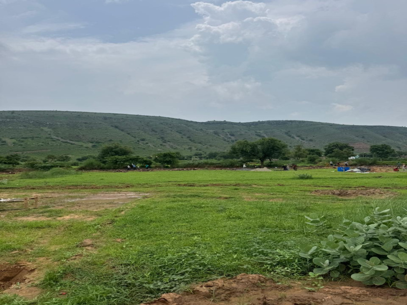  Agricultural Land 10 Bigha for Sale in Naugaon, Alwar