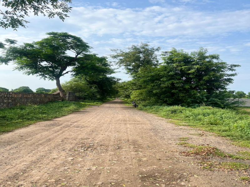  20 Bigha Agricultural/Farm Land for Sale in Naugaon, Alwar