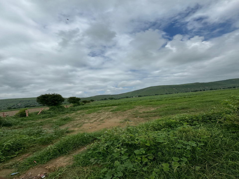  8 Bigha Agricultural/Farm Land for Sale in Naugaon, Alwar