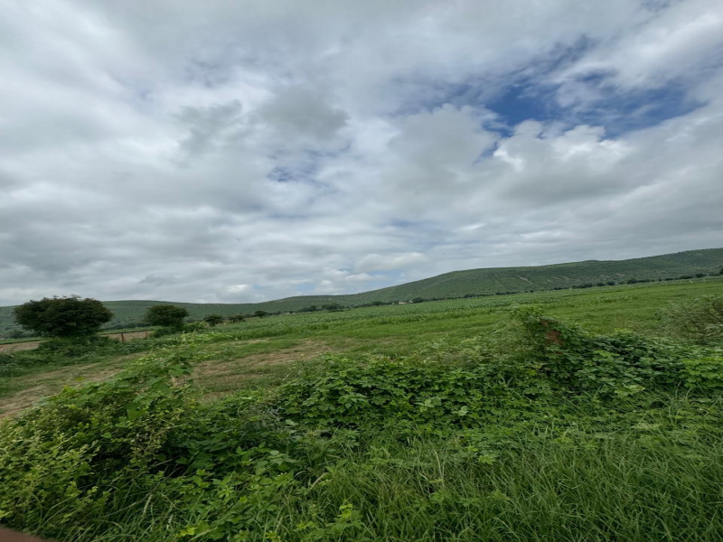  8 Bigha Agricultural/Farm Land for Sale in Naugaon, Alwar