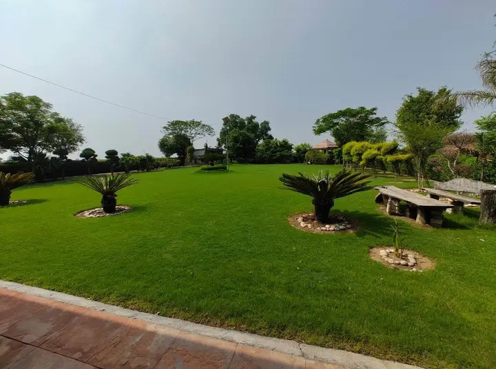 1 Acre Agricultural/Farm Land for Sale in Sohna, Gurgaon
