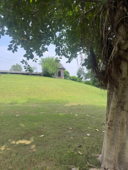  Agricultural Land for Sale in Sohna Road, Faridabad