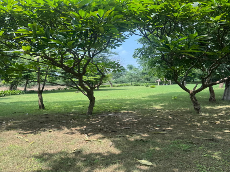  Agricultural Land 2 Acre for Sale in Sohna Road, Faridabad