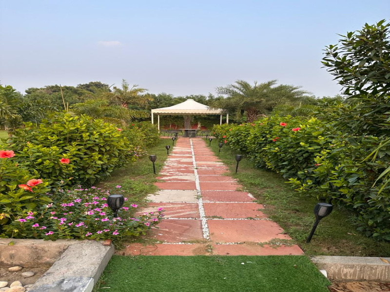 1 Acre Agricultural/Farm Land for Sale in Sohna, Gurgaon