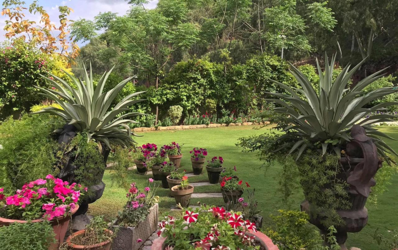  Agricultural Land 2 Acre for Sale in Sohna Palwal Road, Gurgaon