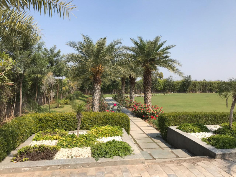  Agricultural Land 2 Acre for Sale in Sohna Palwal Road, Gurgaon