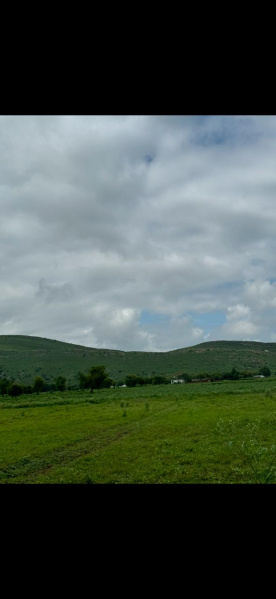  Agricultural Land 25 Bigha for Sale in Naugaon, Alwar