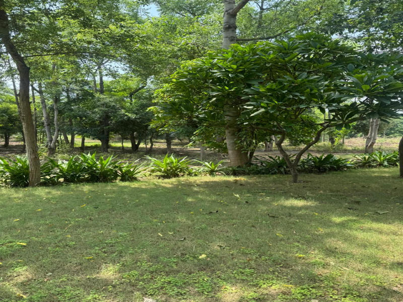  Agricultural Land 1 Acre for Sale in Sohna, Gurgaon
