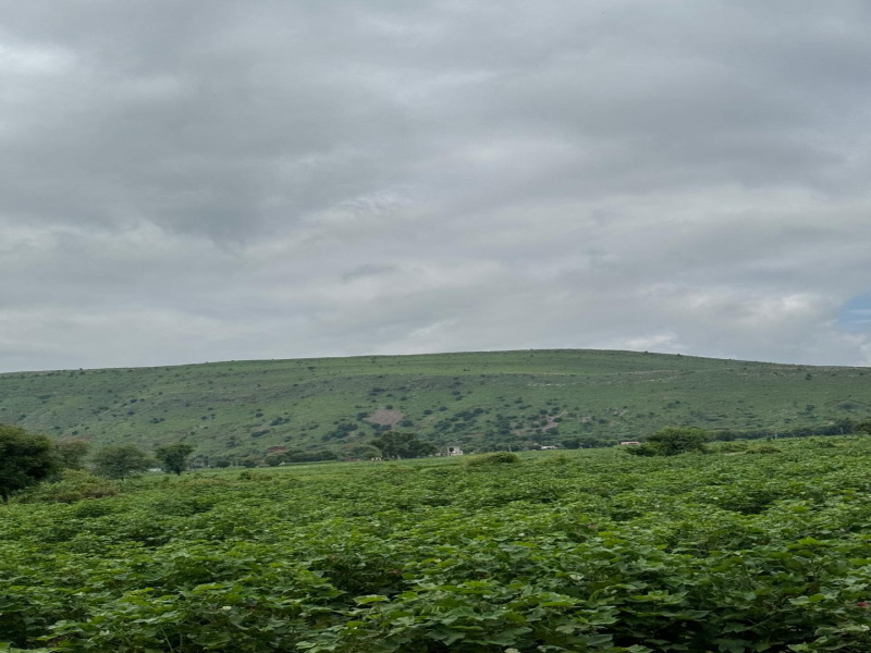  Agricultural Land 10 Bigha for Sale in Naugaon, Alwar