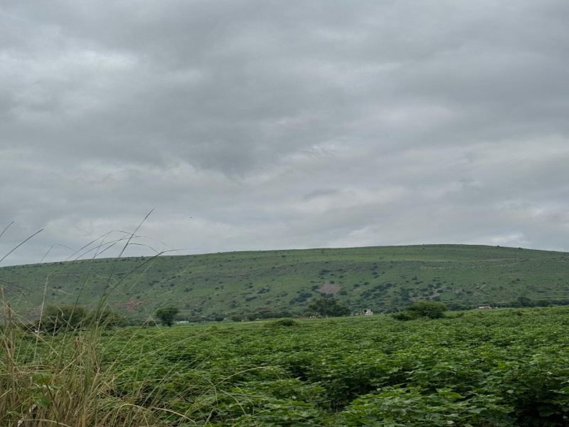  Agricultural Land 10 Bigha for Sale in Naugaon, Alwar