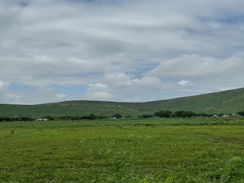  Agricultural Land 10 Bigha for Sale in Naugaon, Alwar