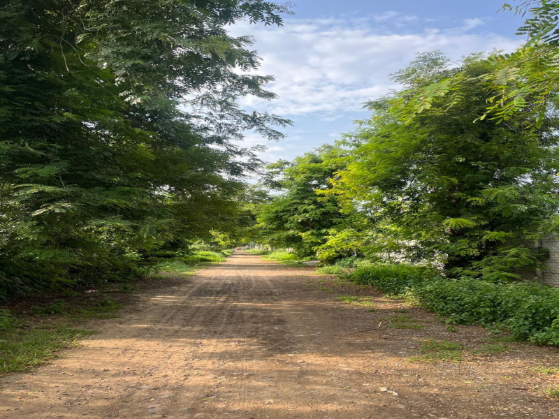  Agricultural Land 1 Acre for Sale in Sohna Road, Faridabad