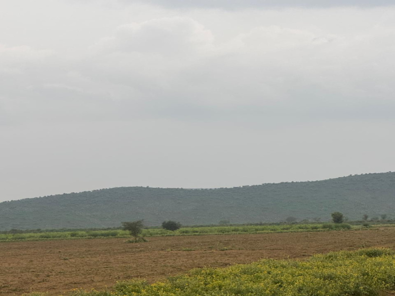  Agricultural Land 30 Bigha for Sale in Naugaon, Alwar