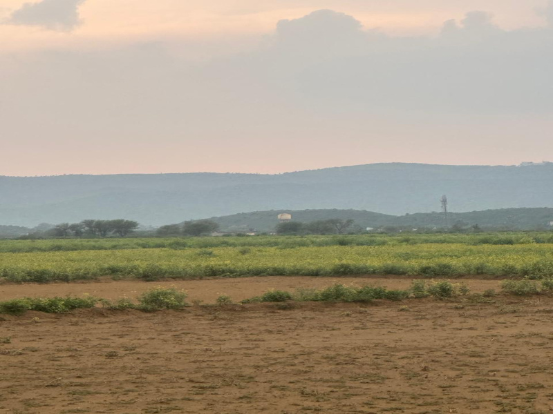  Agricultural Land 30 Bigha for Sale in Naugaon, Alwar