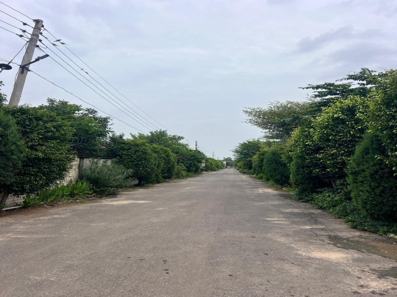  Agricultural Land 1 Acre for Sale in Sohna, Gurgaon