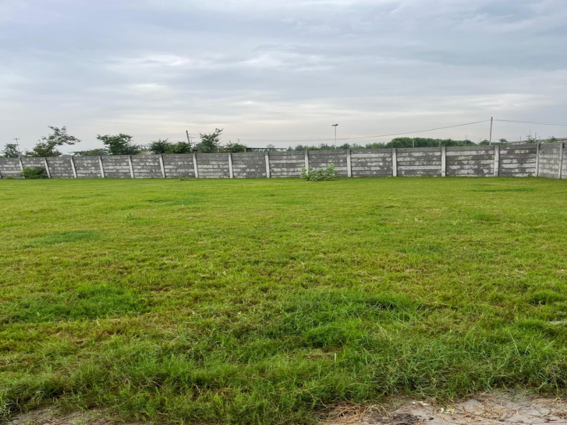  Agricultural Land 2420 Sq. Yards for Sale in Sohna, Gurgaon