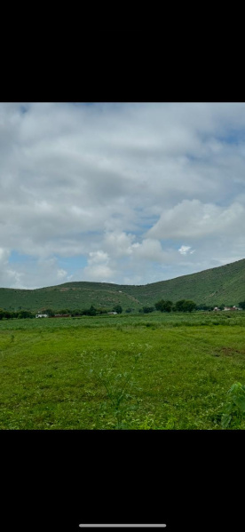  Agricultural Land 25 Bigha for Sale in Naugaon, Alwar