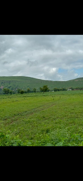  Agricultural Land 25 Bigha for Sale in Naugaon, Alwar