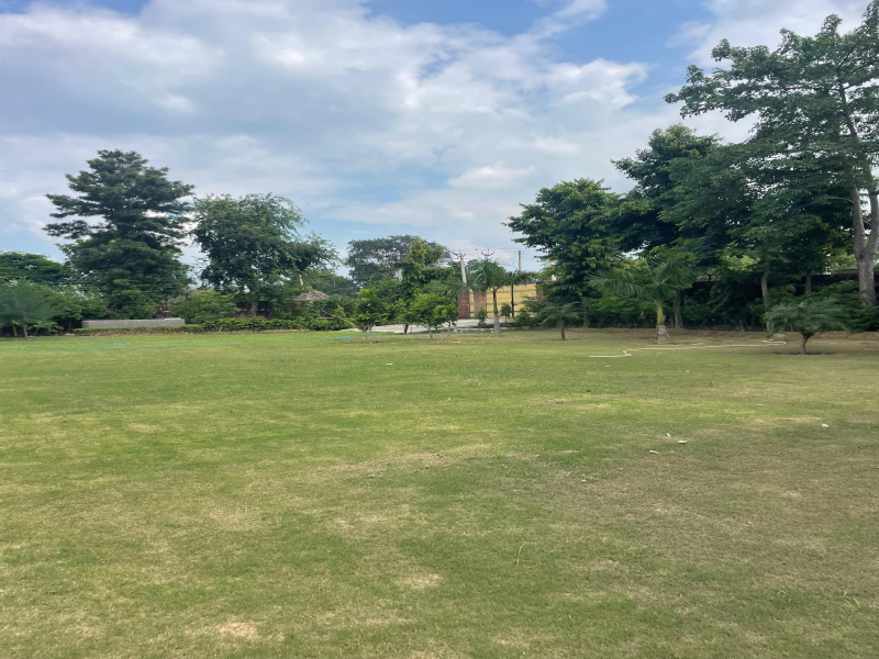  Agricultural Land 2420 Sq. Yards for Sale in Sohna, Gurgaon